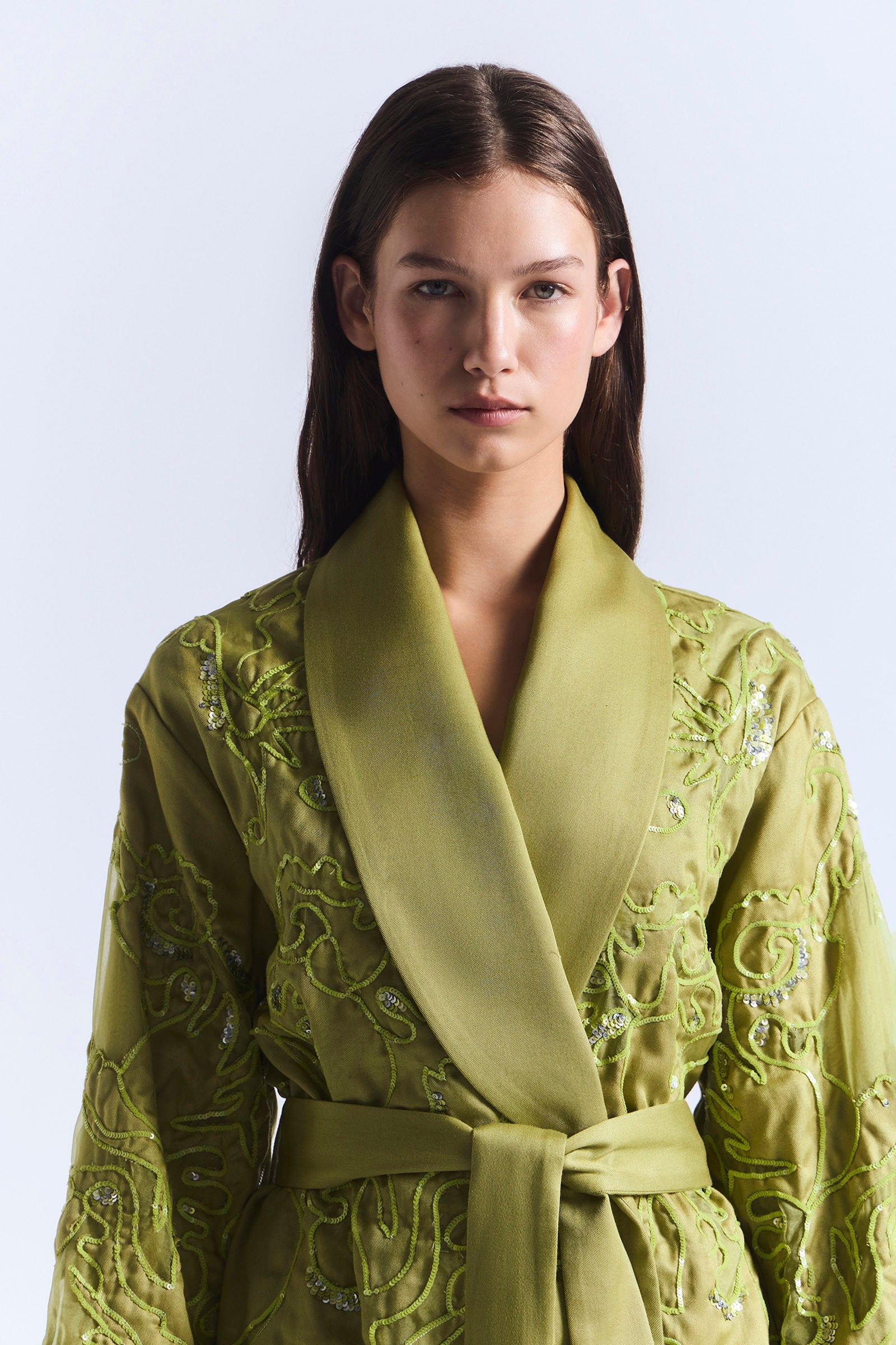 OASIS EMBROIDERED ROBE DRESS