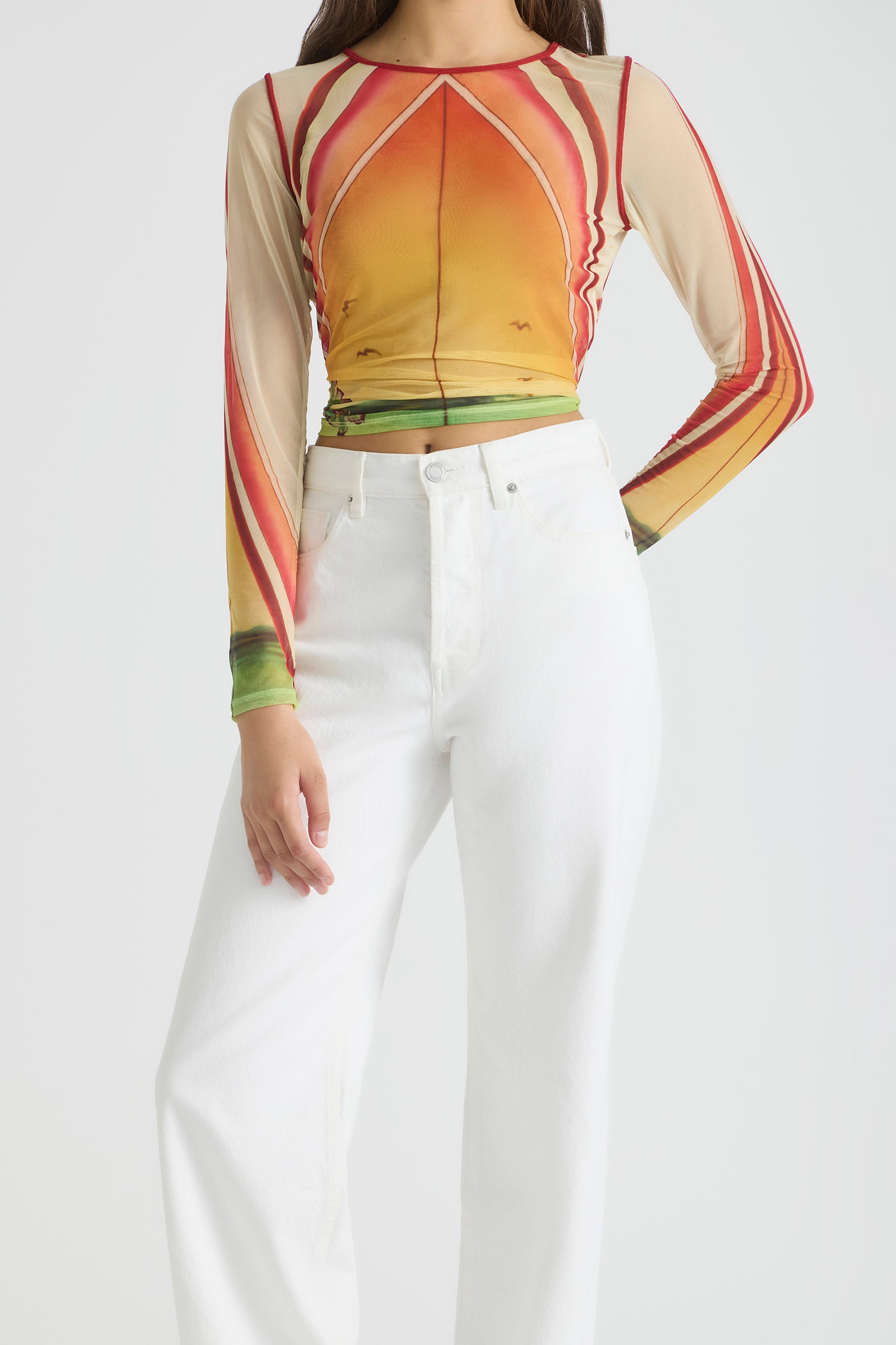 GOLDEN BREAK MESH LONG SLEEVE TOP