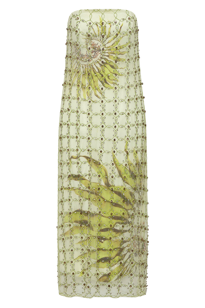 FREEFALL STRUCTURED TUBE DRESS